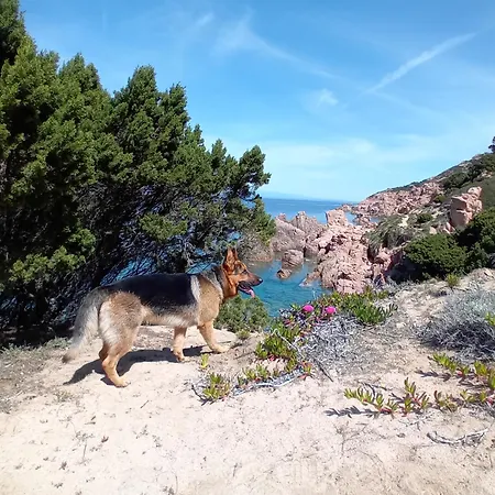 Lejlighed Sardinia Costa Paradiso