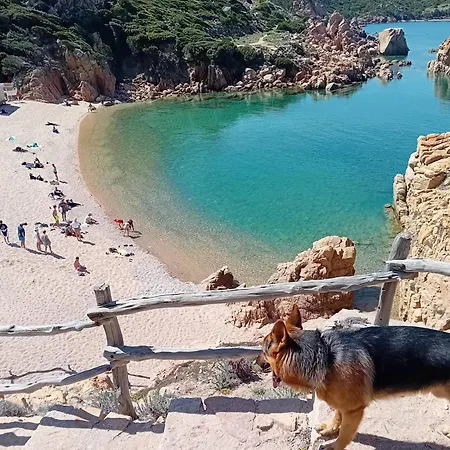דירה Sardinia קוסטה פרדיסו