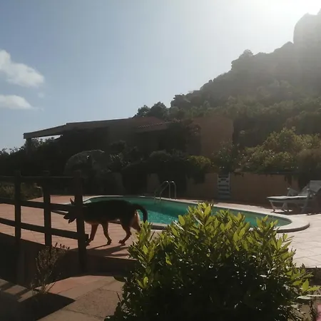 Sardinia *